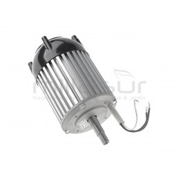 Motor afiladora - 99-13409