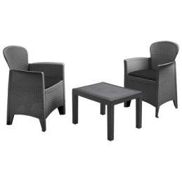 Conjunto Akita 2 sillones +...