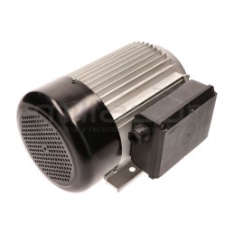 Motor eléctrico RLT12VH-024
