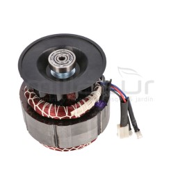Rotor para generador GC900-011