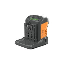Cargador 5,5A batería 60V...